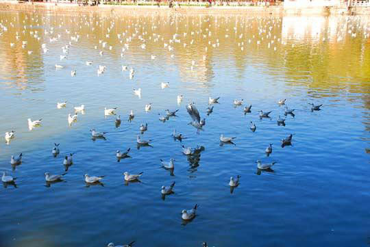 �������