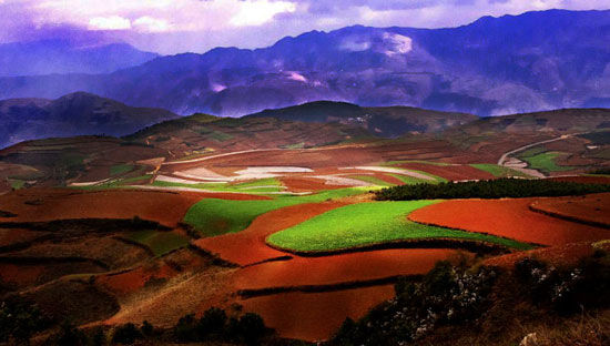 ���϶���������