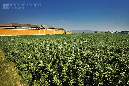 ��ǰһ���Ĵ���