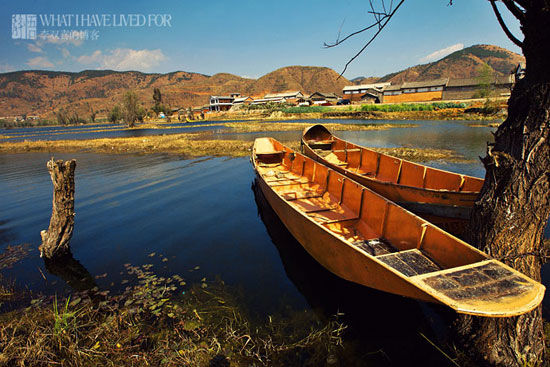 �����ж�����