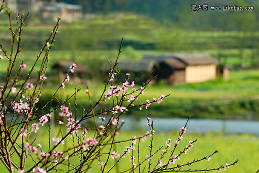 ��Դ���� ���ߣ�ympchuan