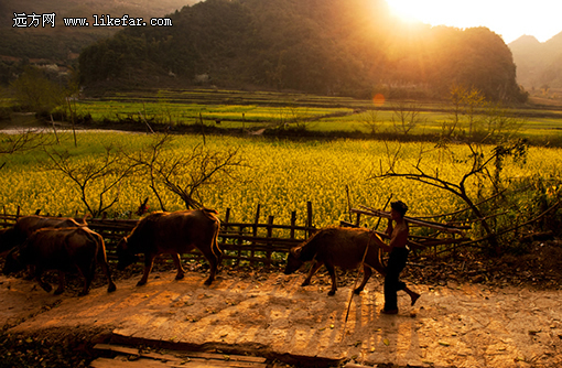 ũæ���� ���ߣ�ympchuan