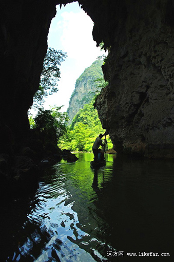 �������ӵ��ܶ� ���ߣ���֦����