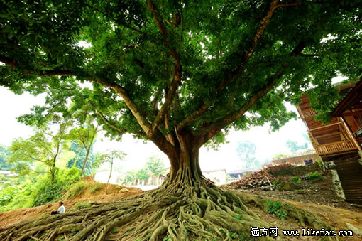 �������� ���ߣ��״�201