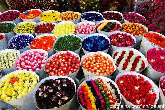 ���������Ļ�