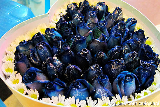 ��ɫ����