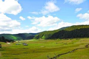 ���ŵ��������ݵ�