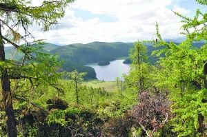 Զ��������